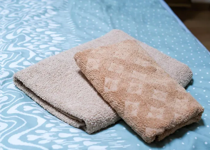 Haus Simona 公寓 *